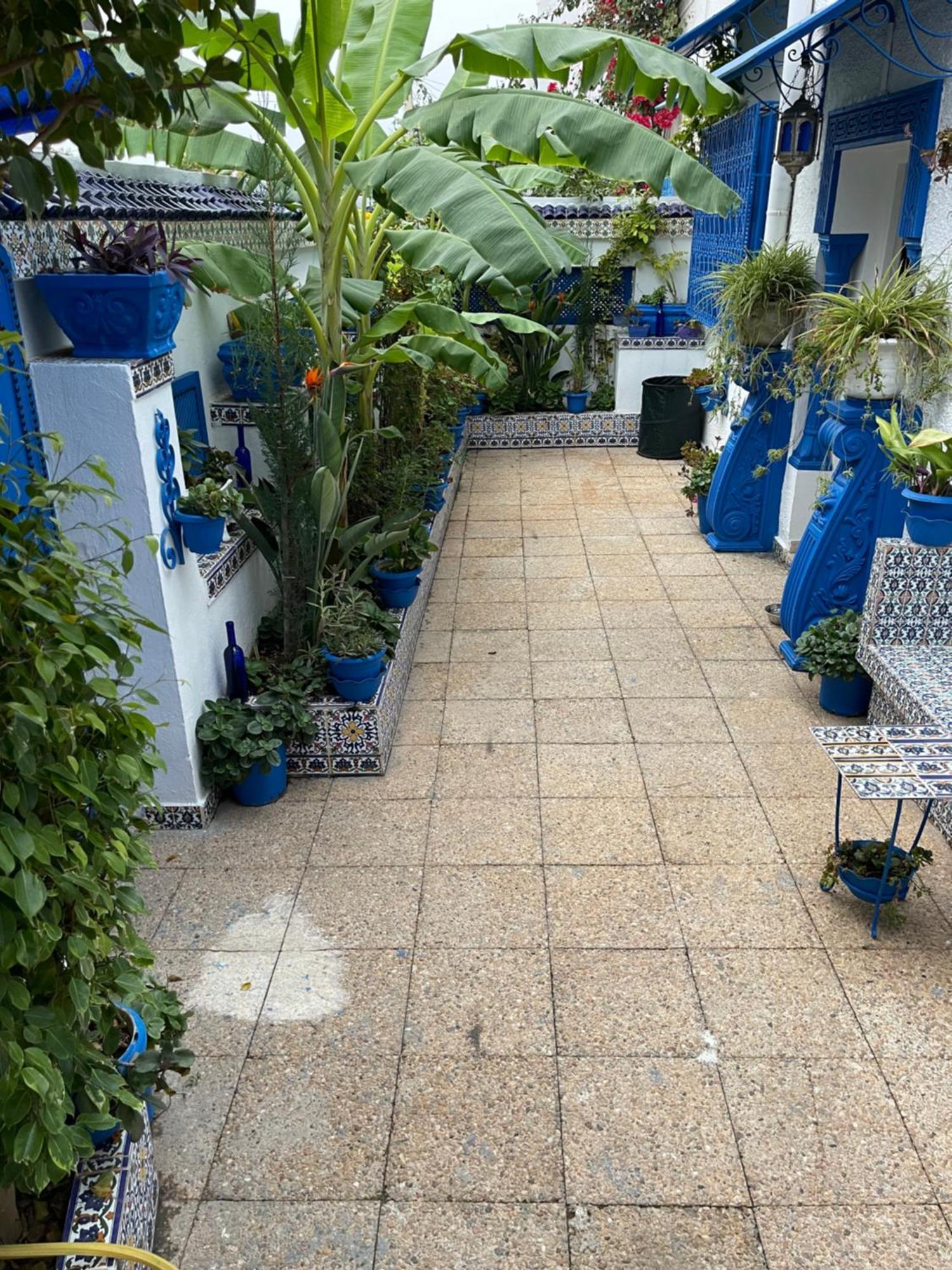 The Blue And White Perle Villa Sidi Bou Said Luaran gambar