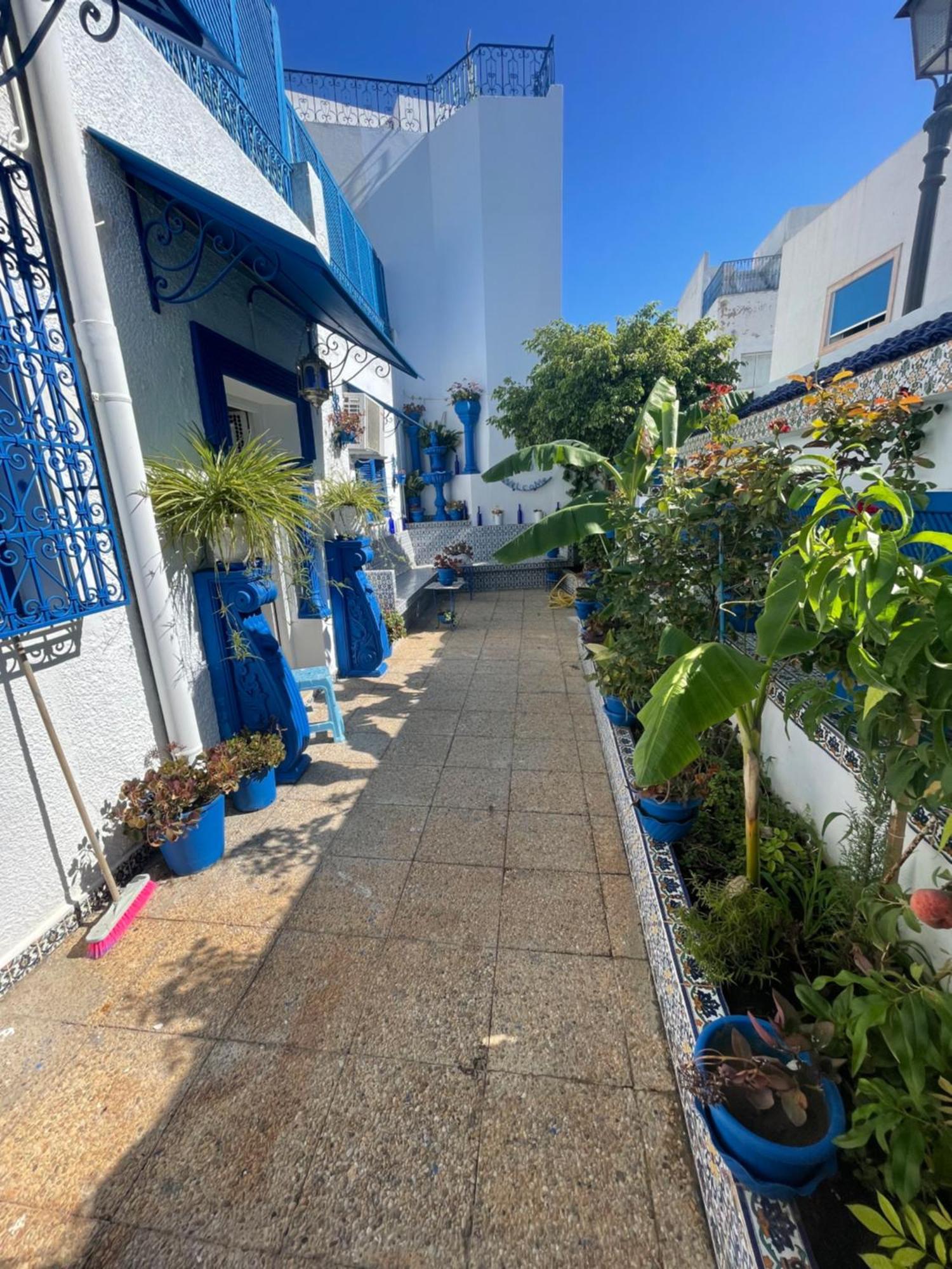 The Blue And White Perle Villa Sidi Bou Said Luaran gambar