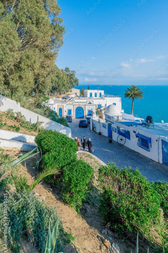 The Blue And White Perle Villa Sidi Bou Said Luaran gambar